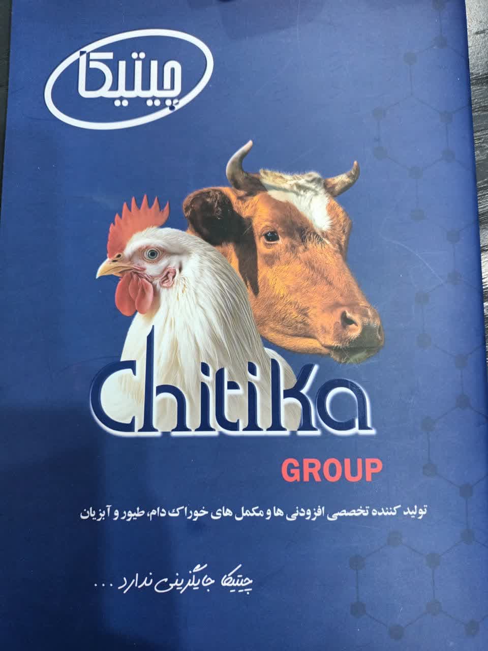 شرکت چیتیکا