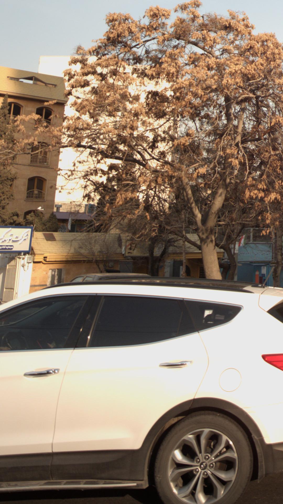 شرکت توسعه کسب و کار صبا