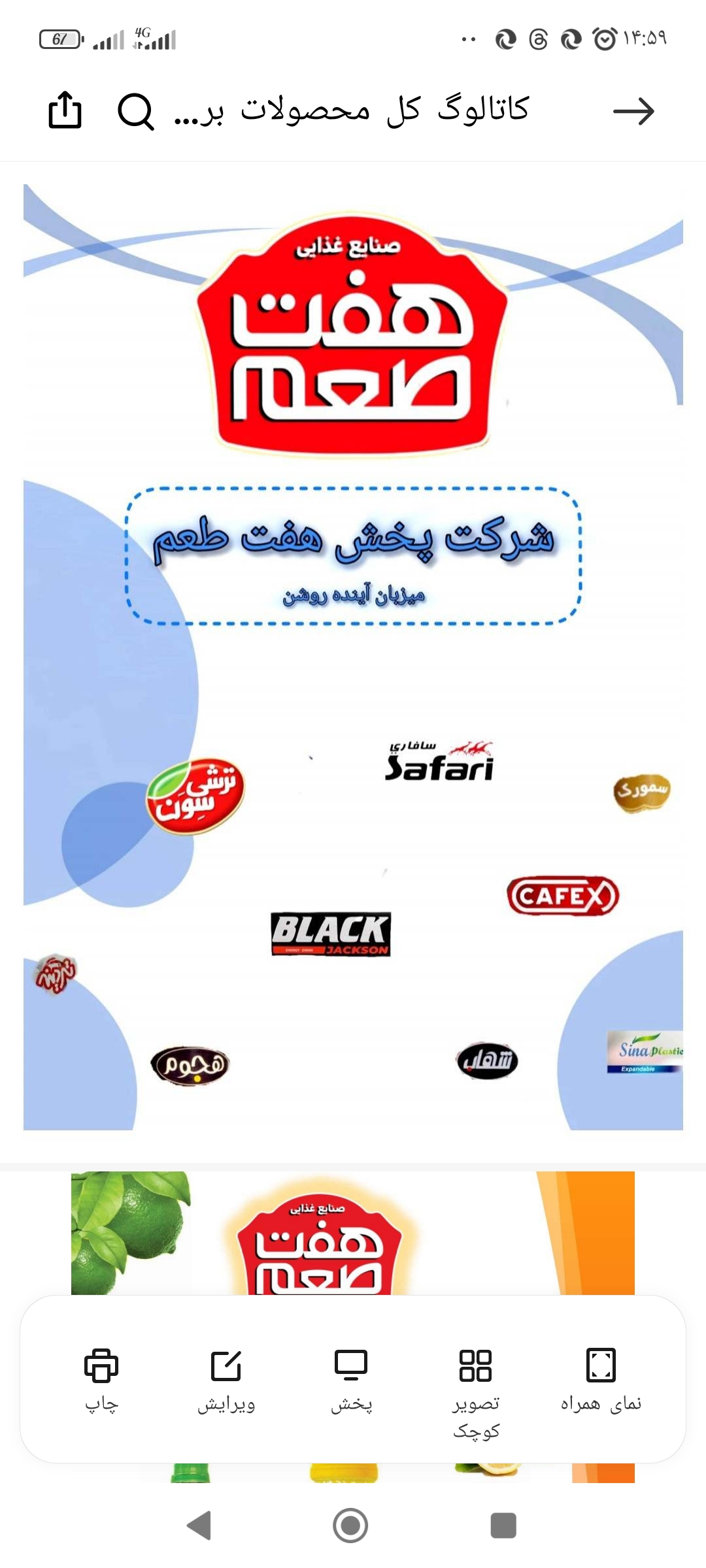 شرکت میزبان پخش مواد غذایی هفت طعم