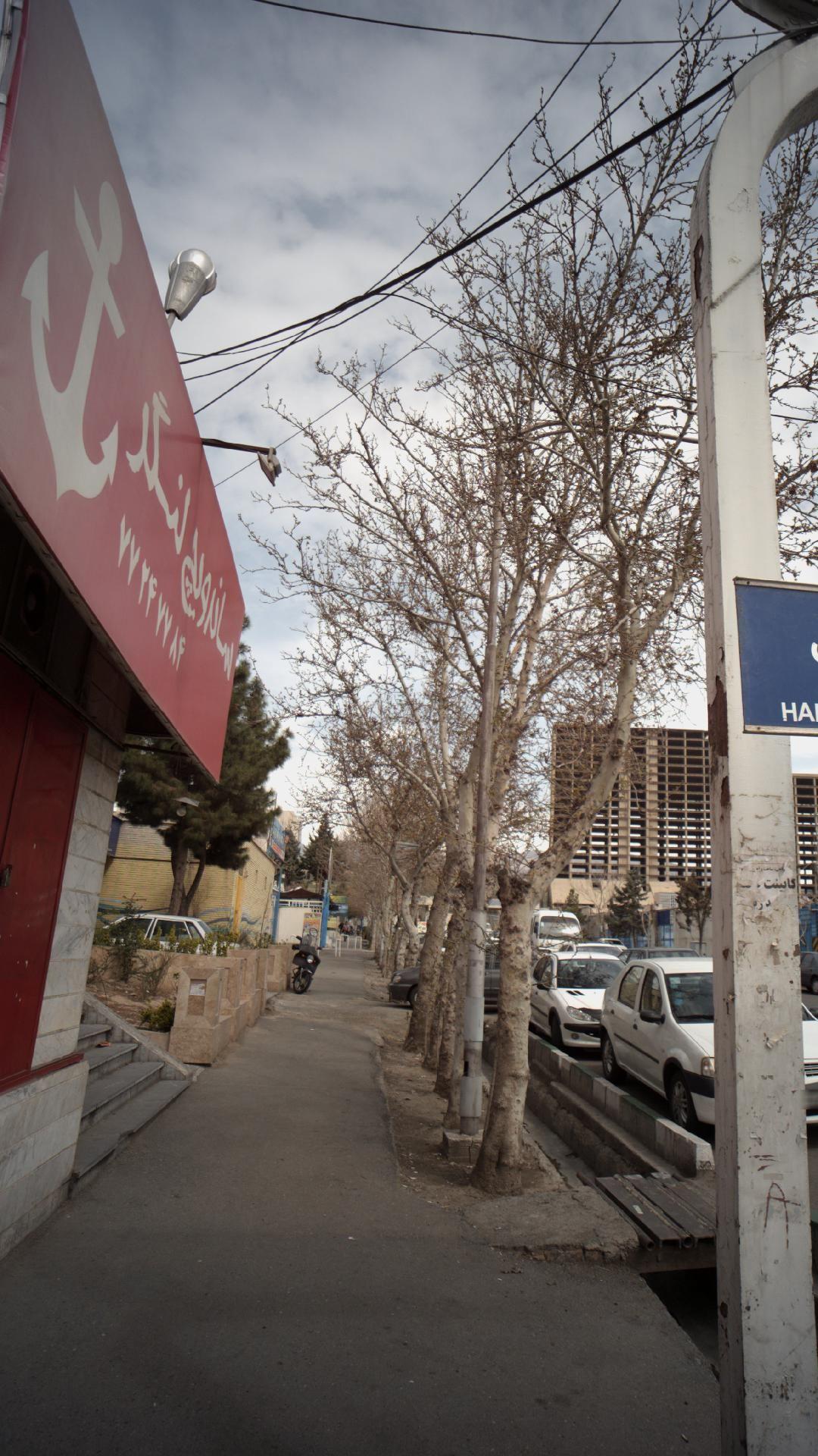 ساندویچی لنگر