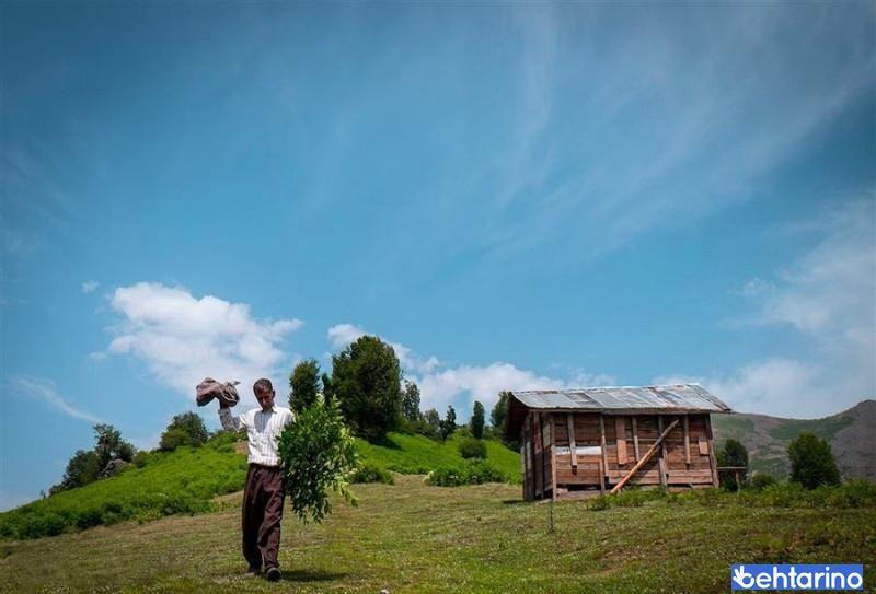 ییلاق اولسبلنگاه