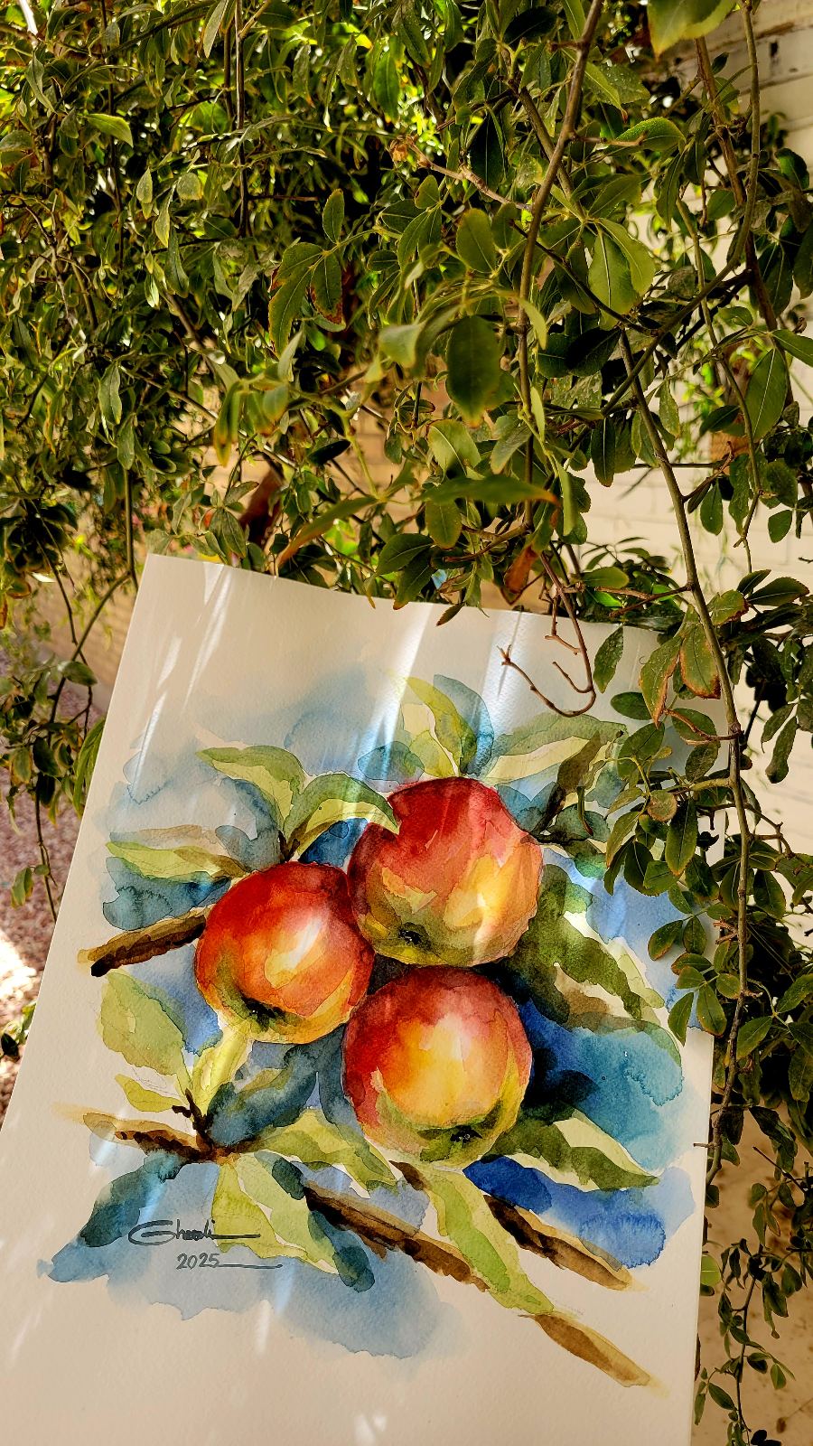 گالری آموزش تخصصی طراحی و نقاشی زرگل