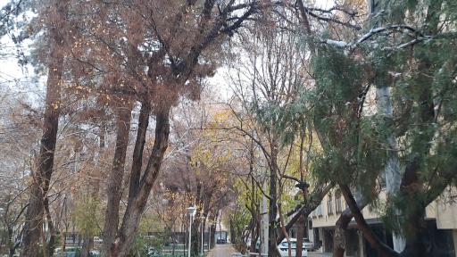 بوستان همافر