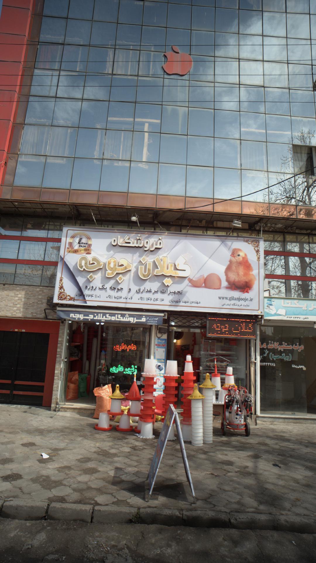 فروشگاه گبلان جوجه