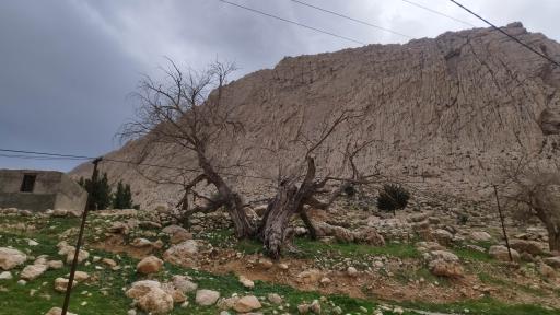 بابا یادگار