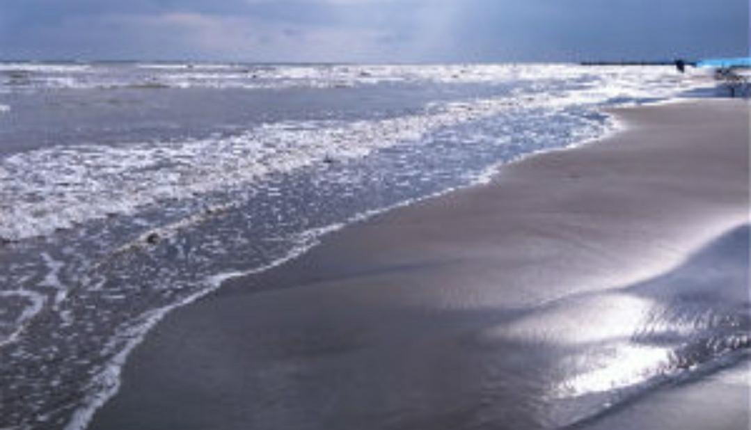 ساحل دریای خزر