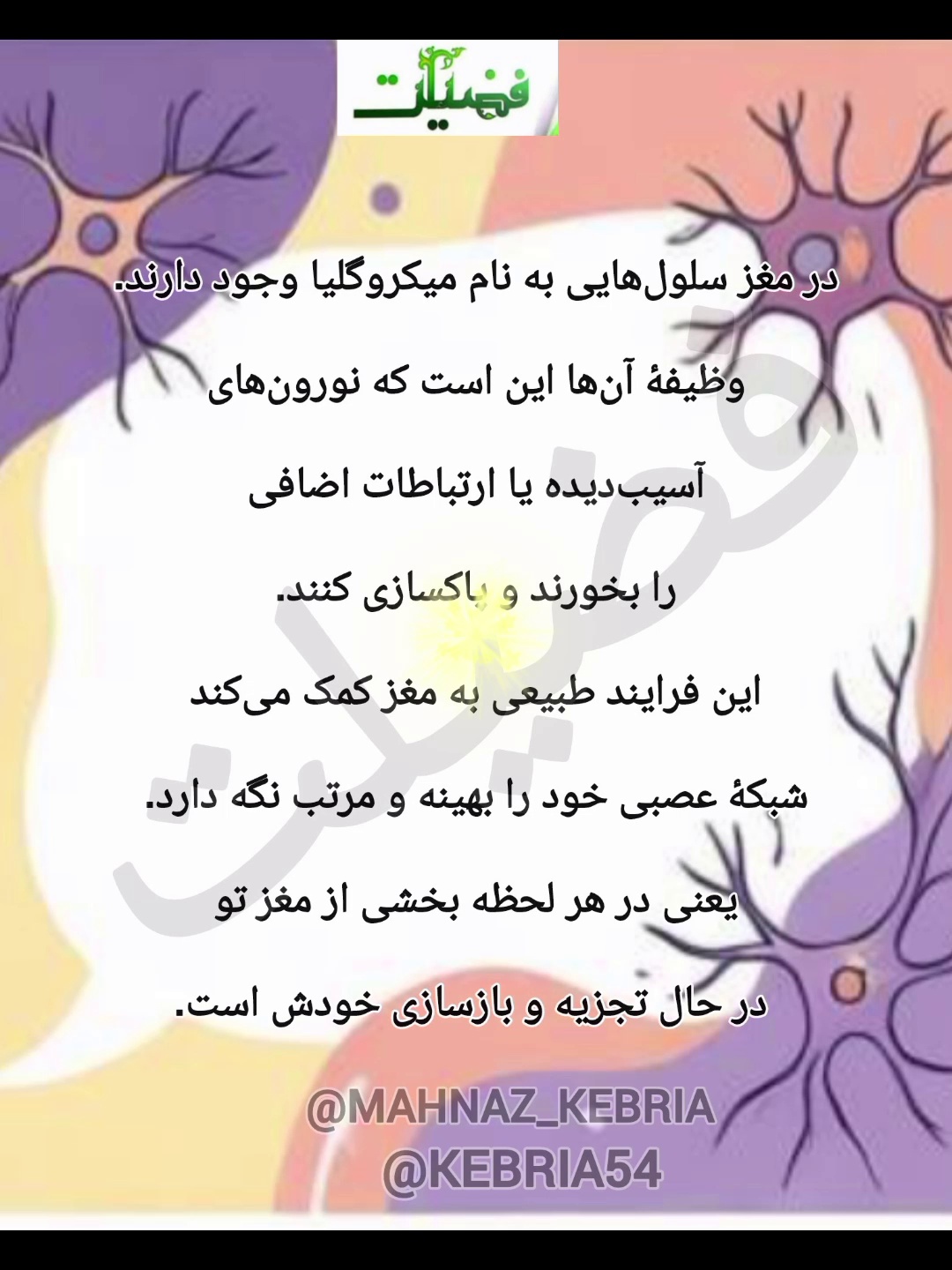 مرکز مشاوره فضیلت