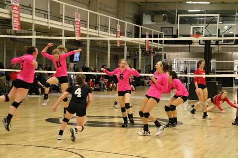 باشگاه والیبال آرنا