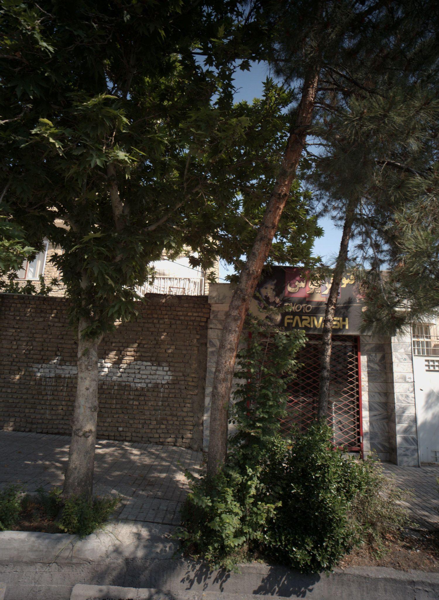 عکاسی فتو فریوش