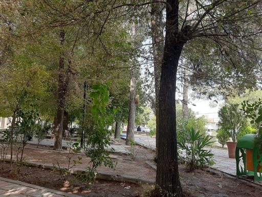 پارک کتاب