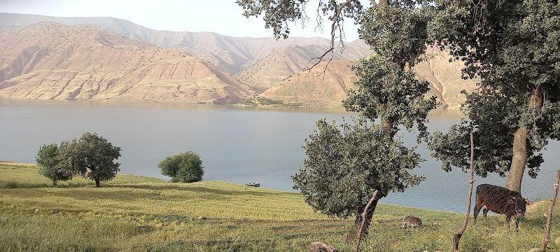 اقامتگاه علی اسدی