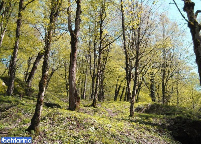 روستای سوسرا