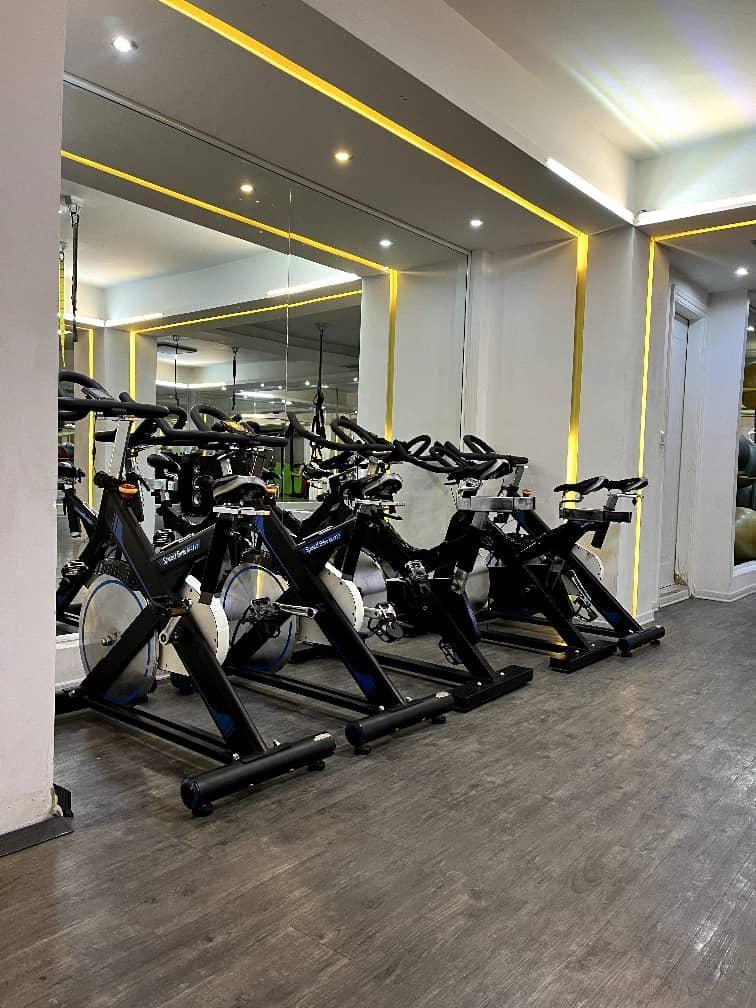 باشگاه ورزشی شقایق