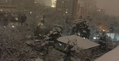 دفتر قالیشویی زمرد