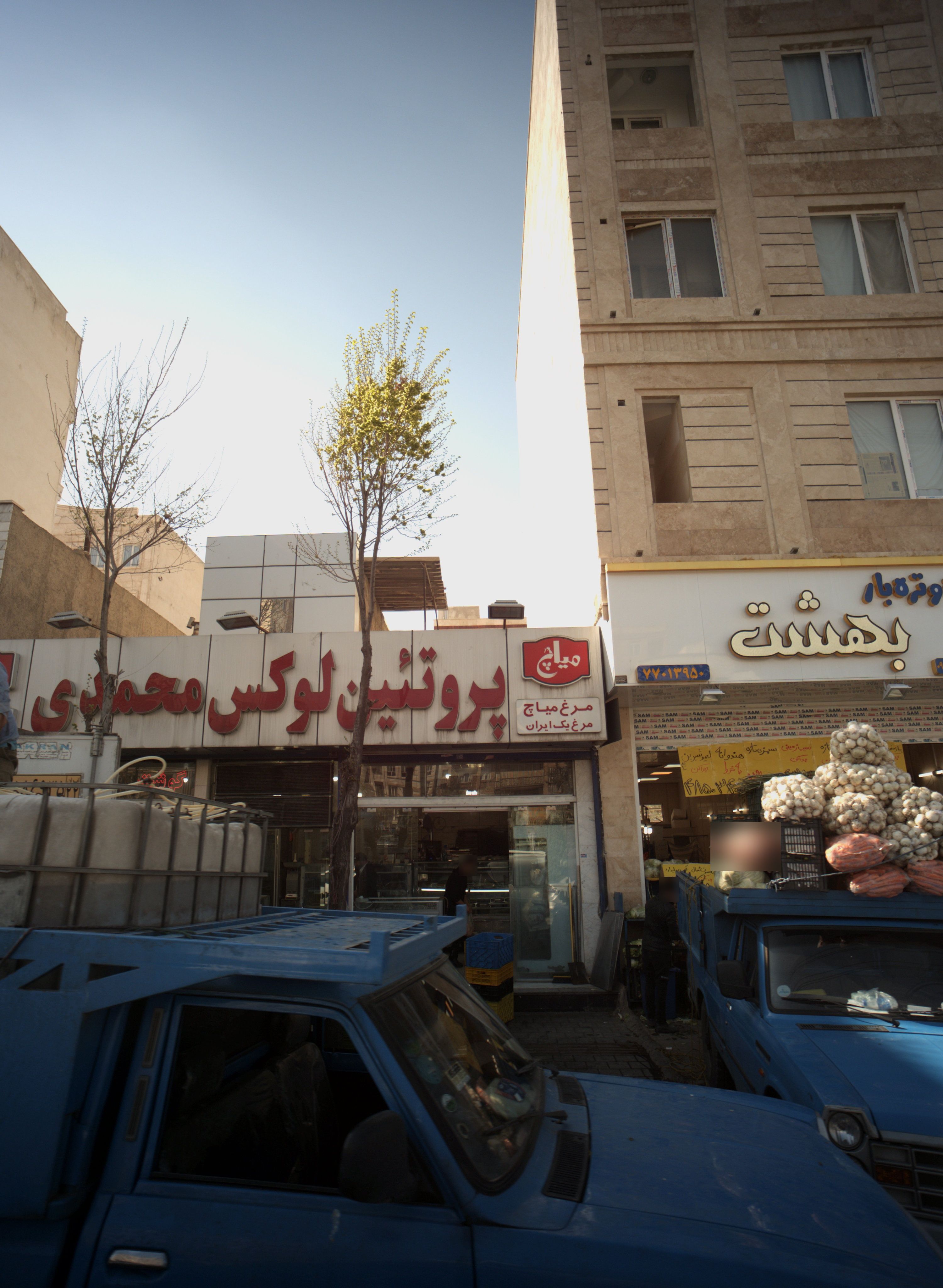 پروتئین لوکس محمدی