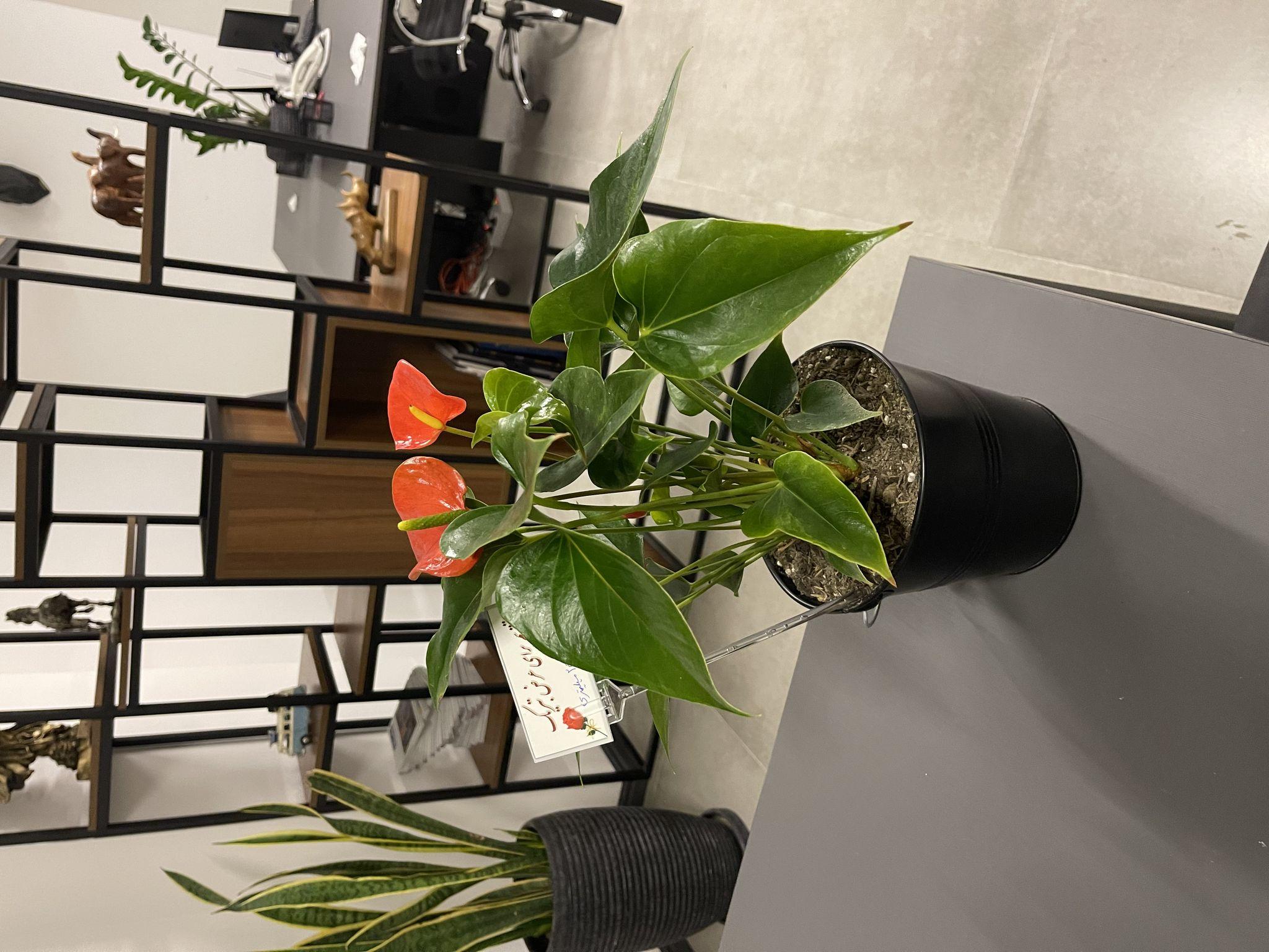 آژانس تبلیغاتی اثر