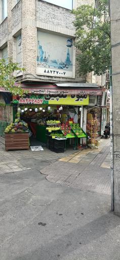 میوه فروشی گلچین