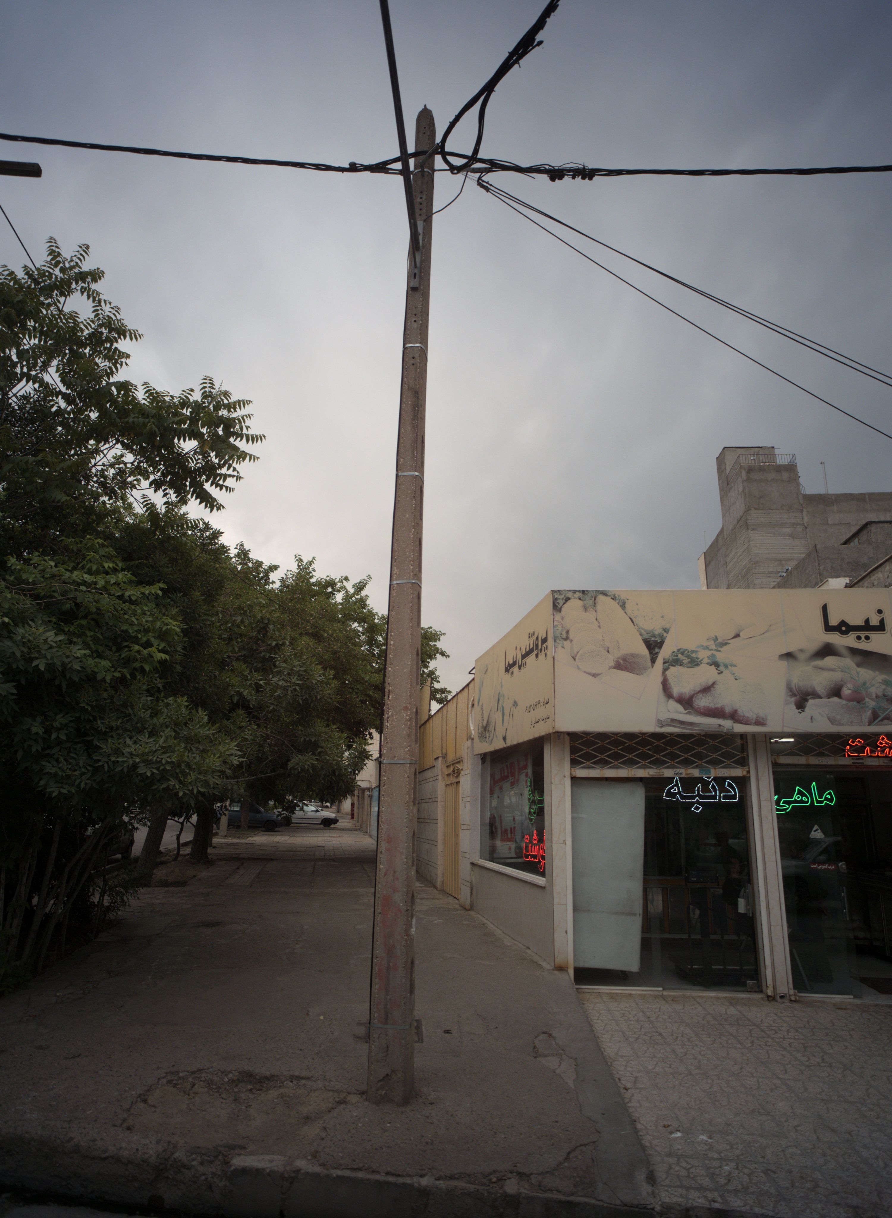 پروتئین نیما