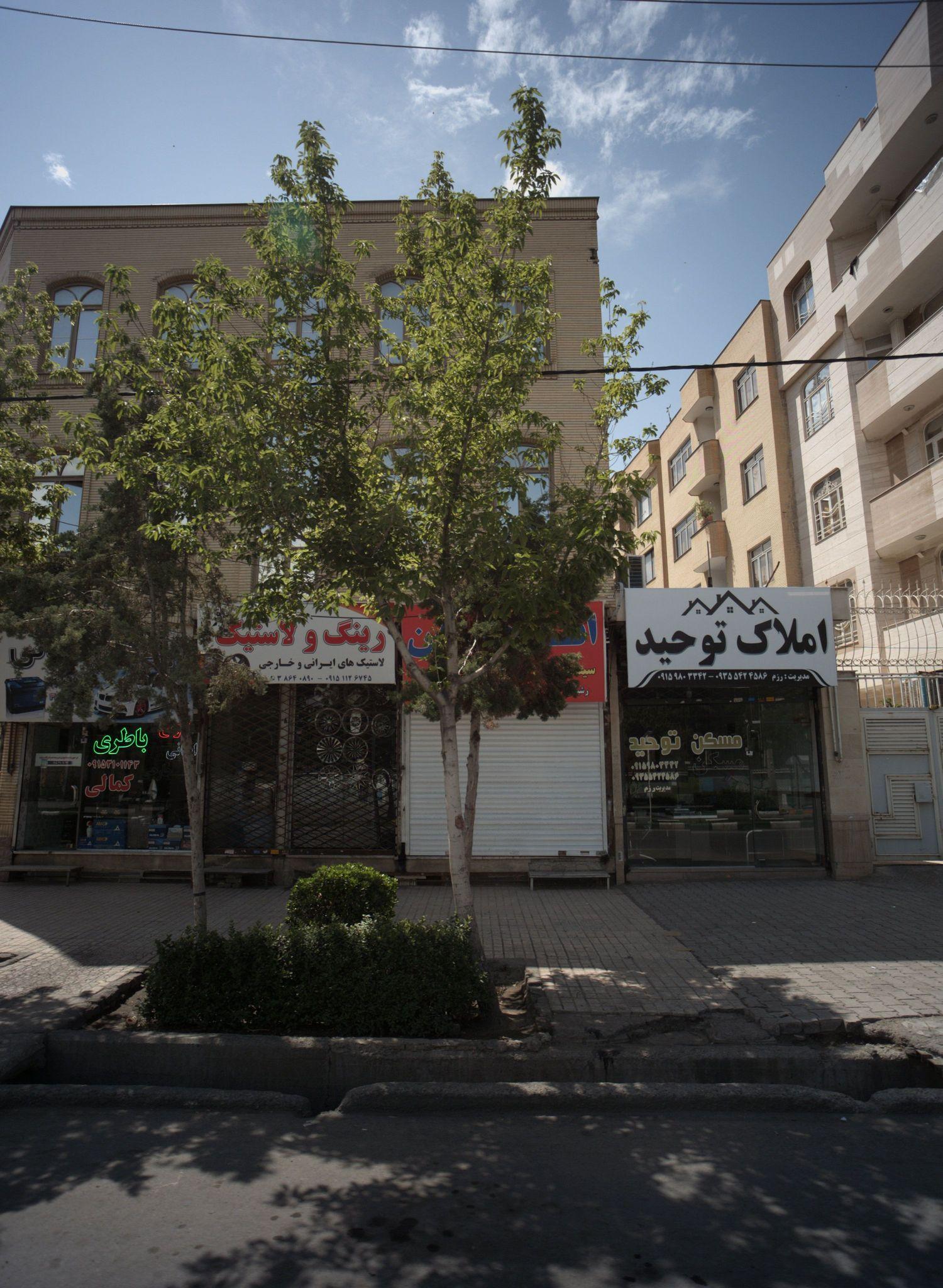 رینگ و لاستیک باقری