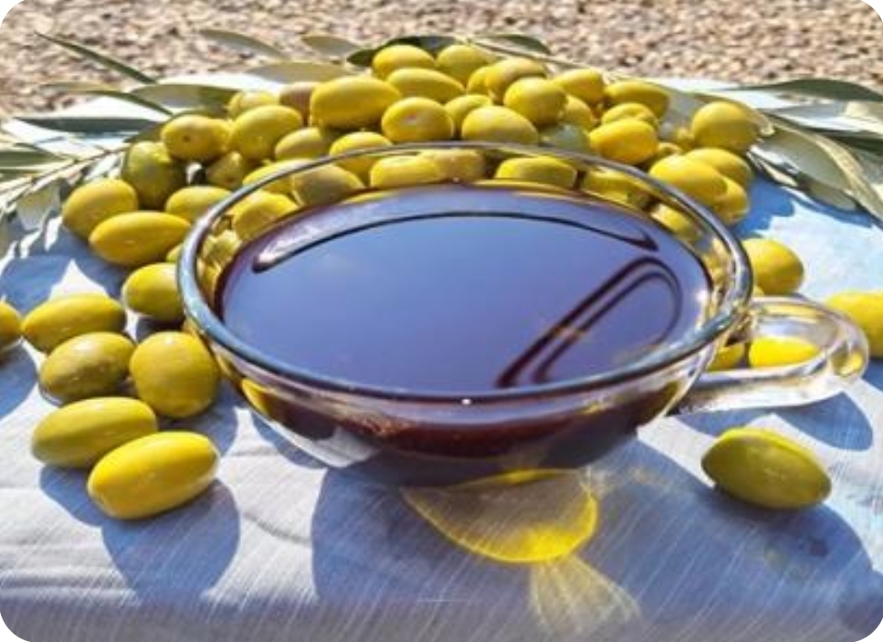 فروش عمده زیتون و روغن زیتون زیترون