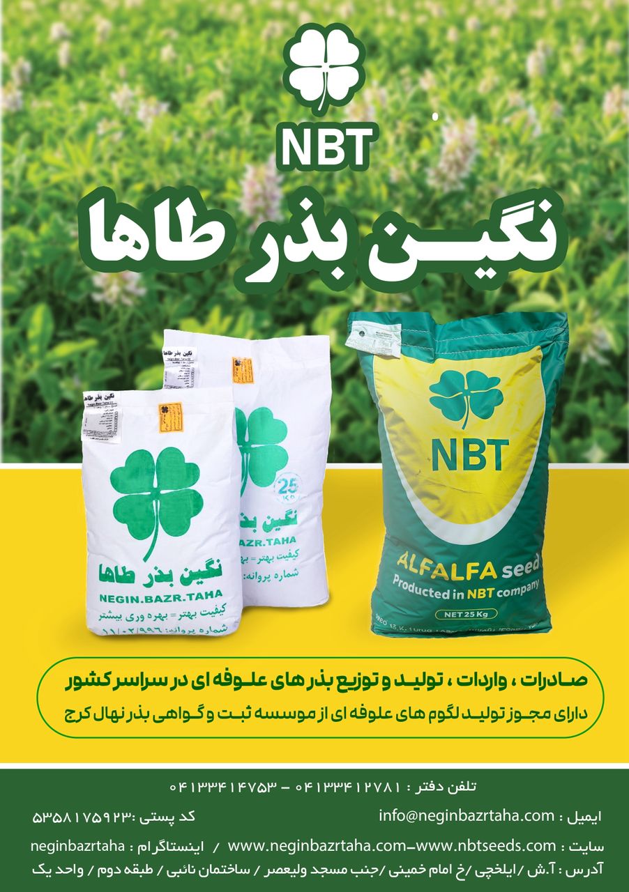 نگین بذر طاها