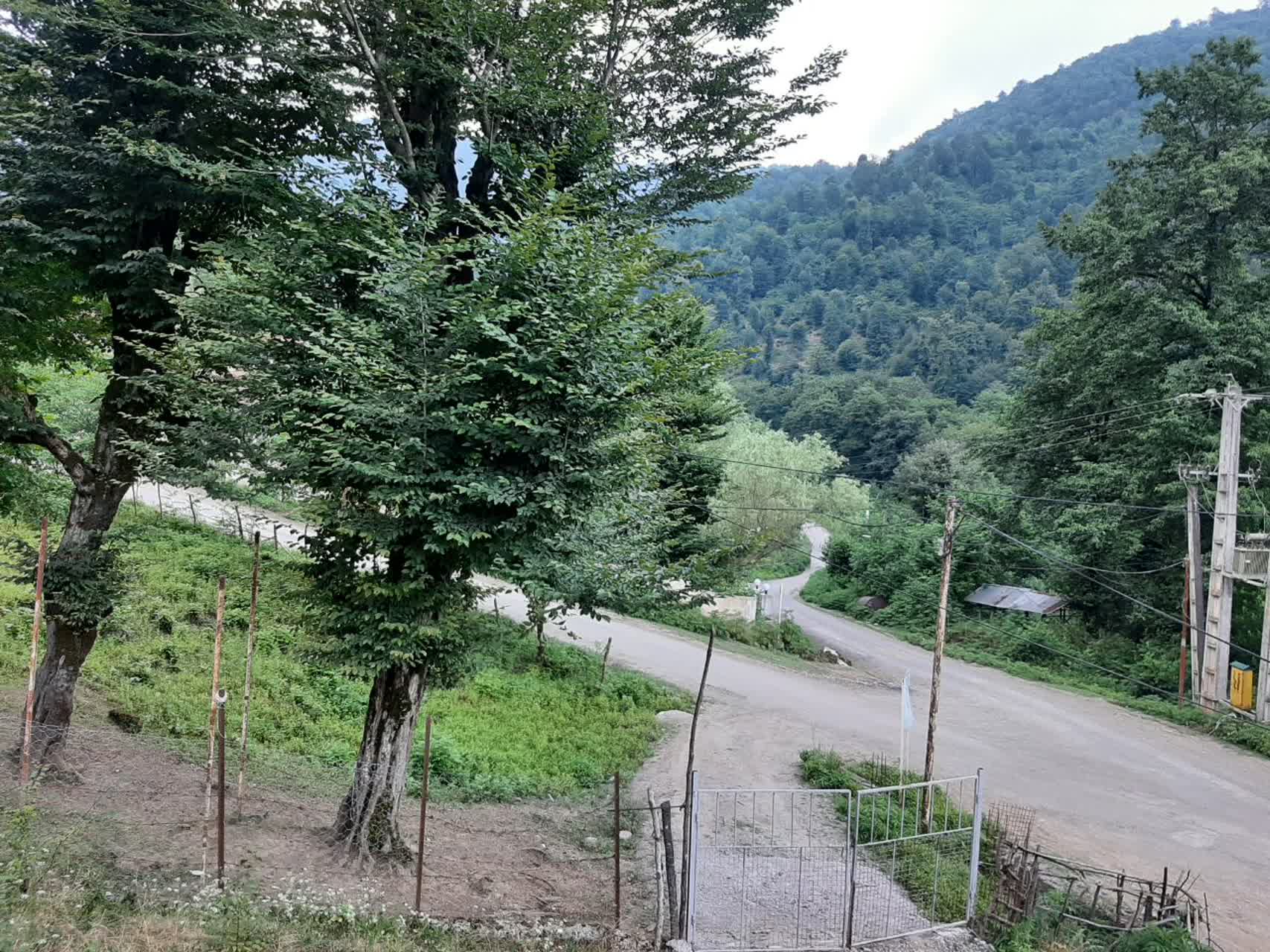 کلبه چوبی ماسال مهدی