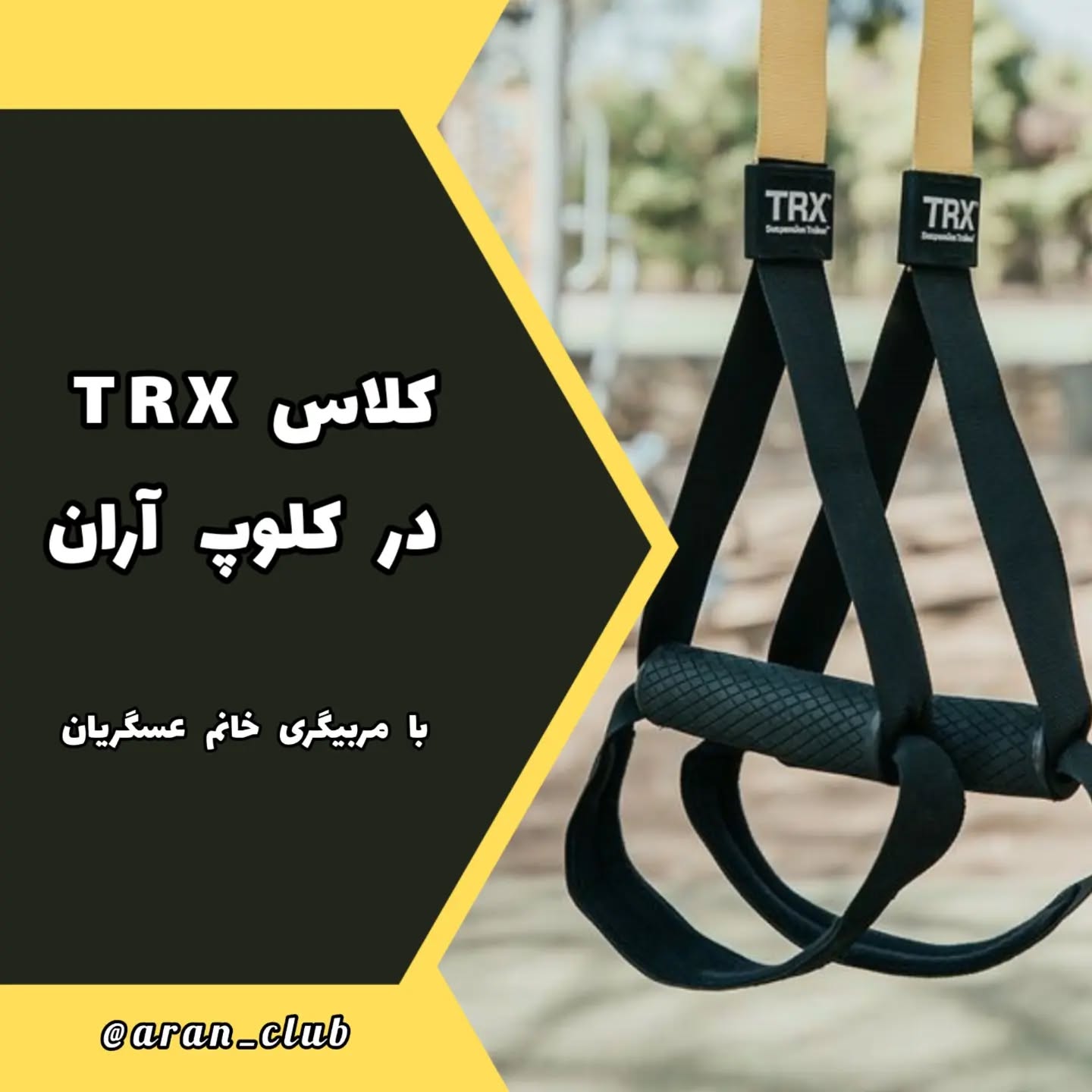 باشگاه آران