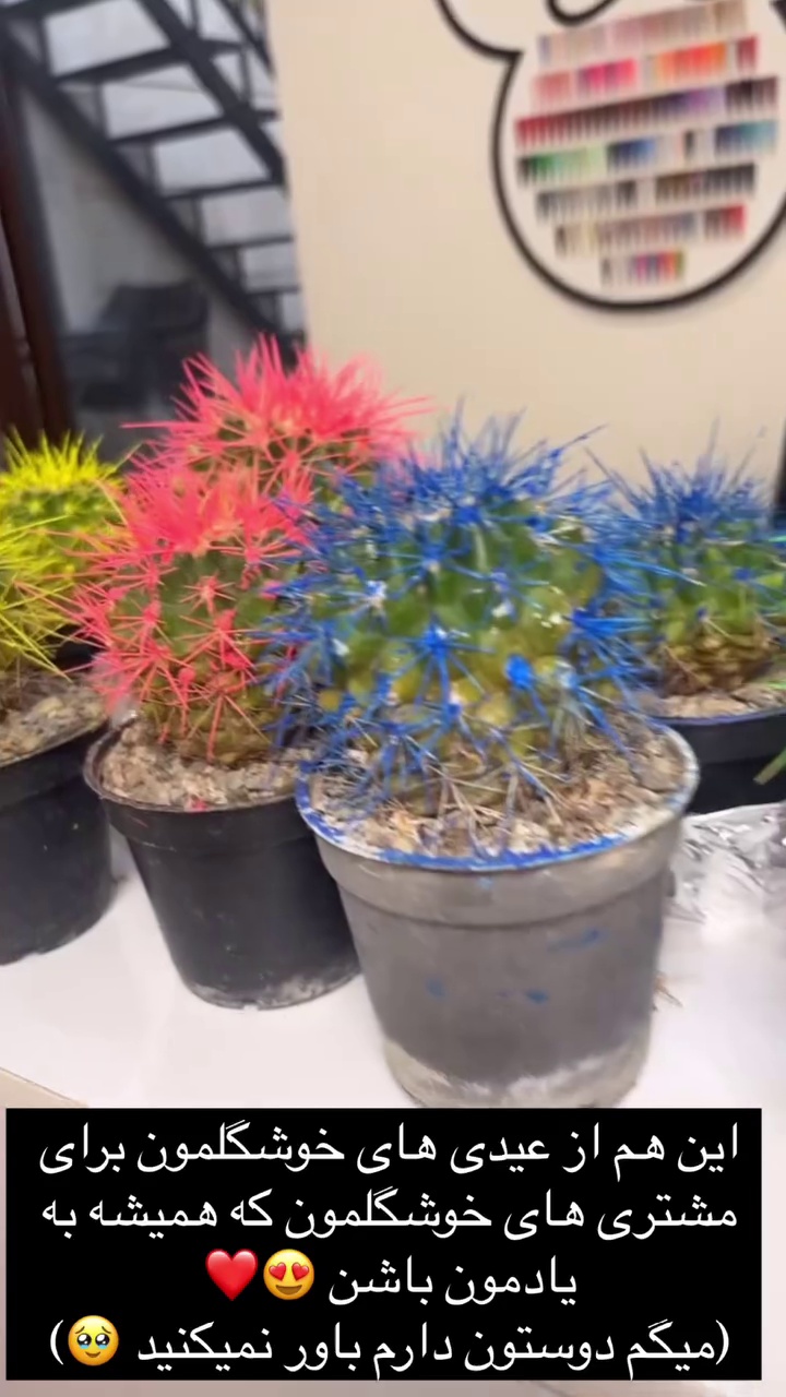 سالن زیبایی بیوتی کوئین