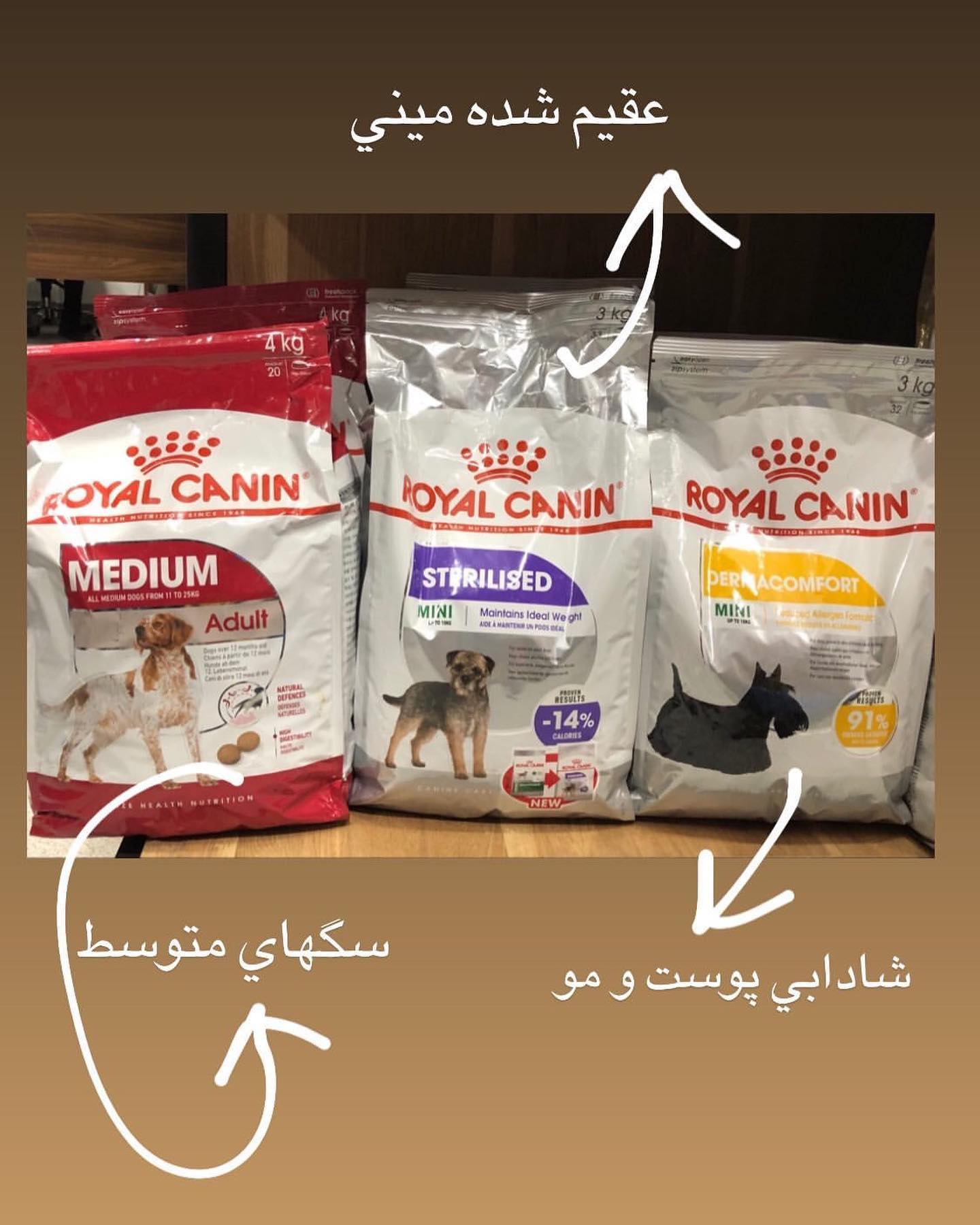 کلینیک دامپزشکی و پت‌شاپ چکاوک