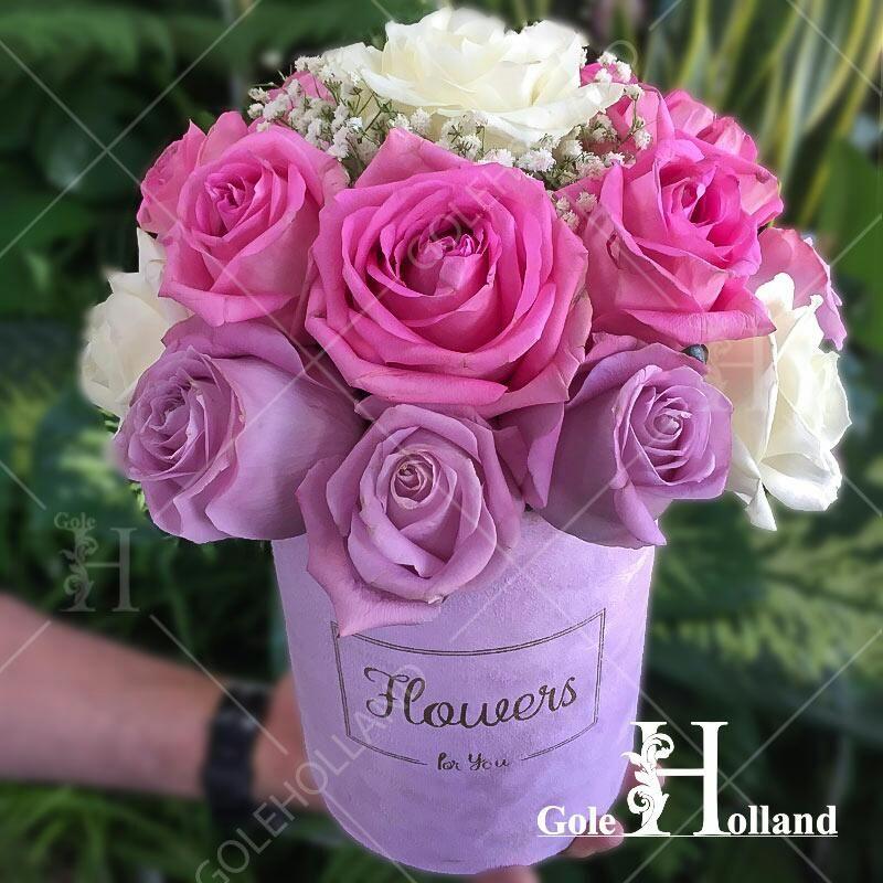 گل فروشی اینترنتی گل هلند