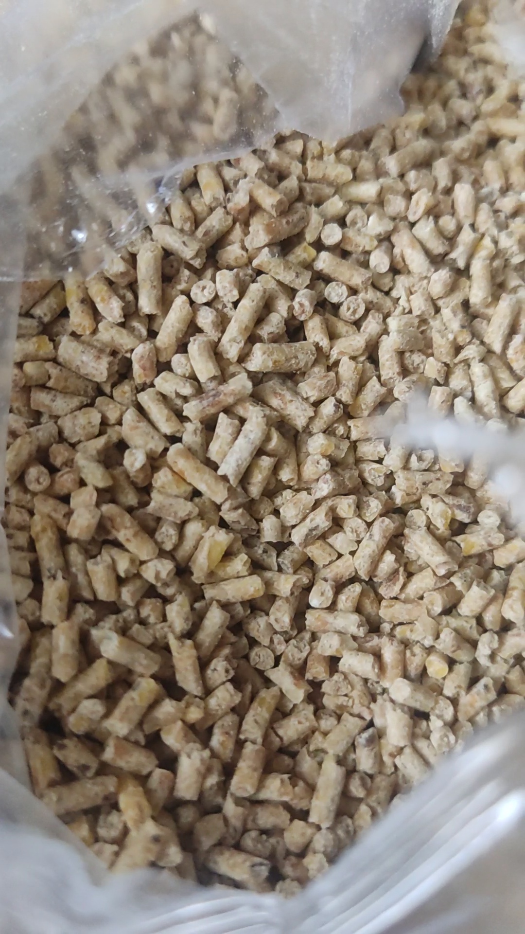خوراک دام و طیور نگین