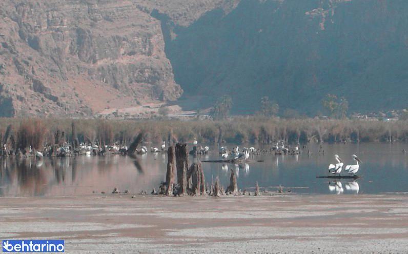 دریاچه پریشان (فامور)