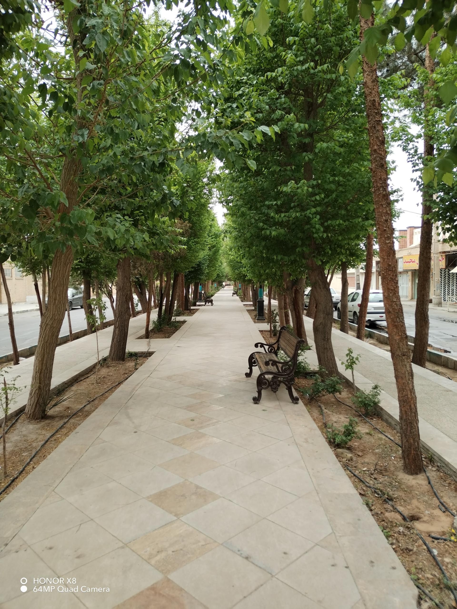 فضای سبز