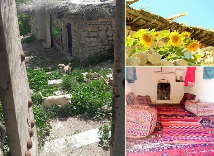 اقامتگاه بوم کلبه کوهسار پرشکفت