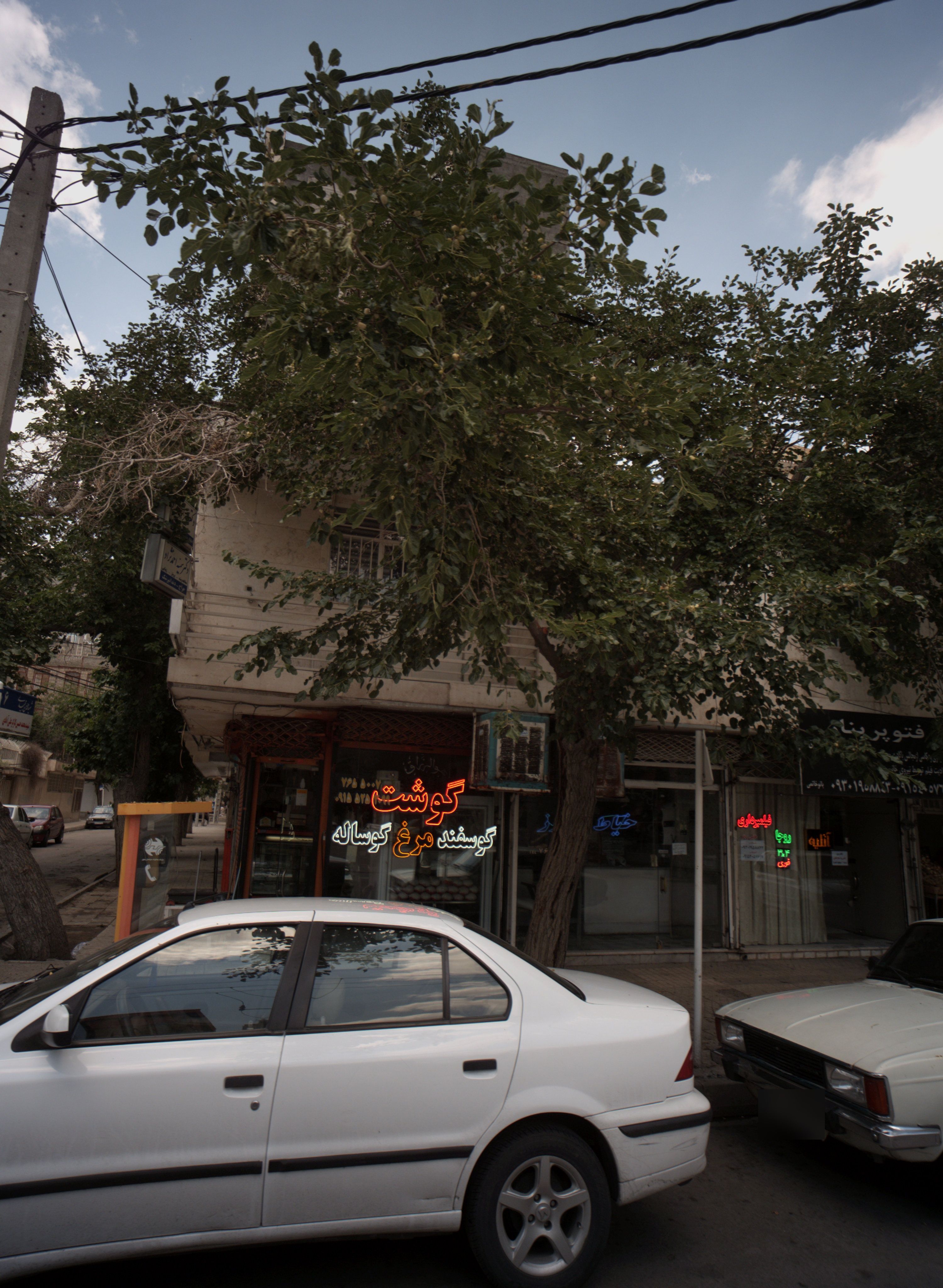 سوپر پروتئین