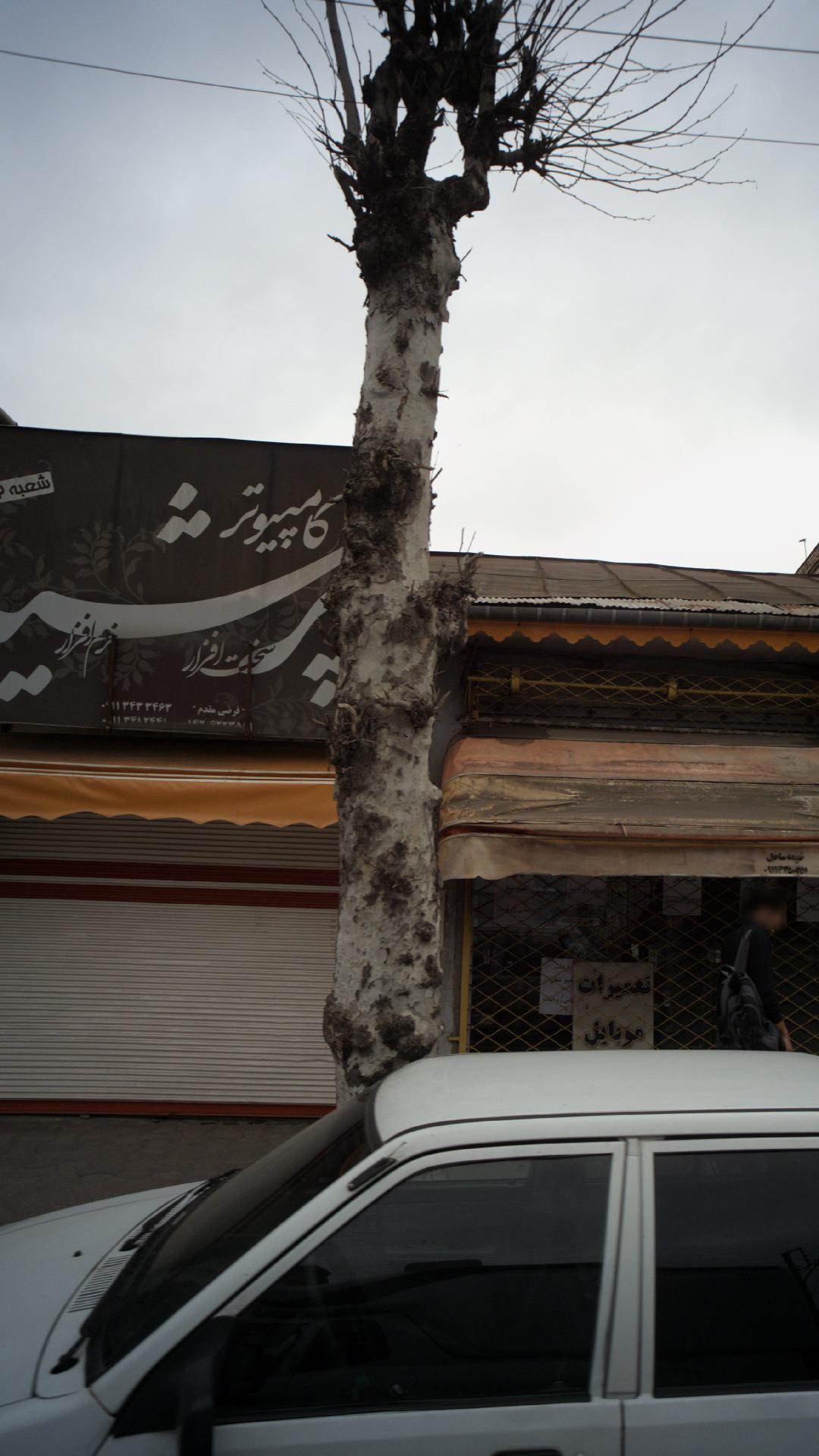 رنگ و لوازم ساختمانی توحیدی