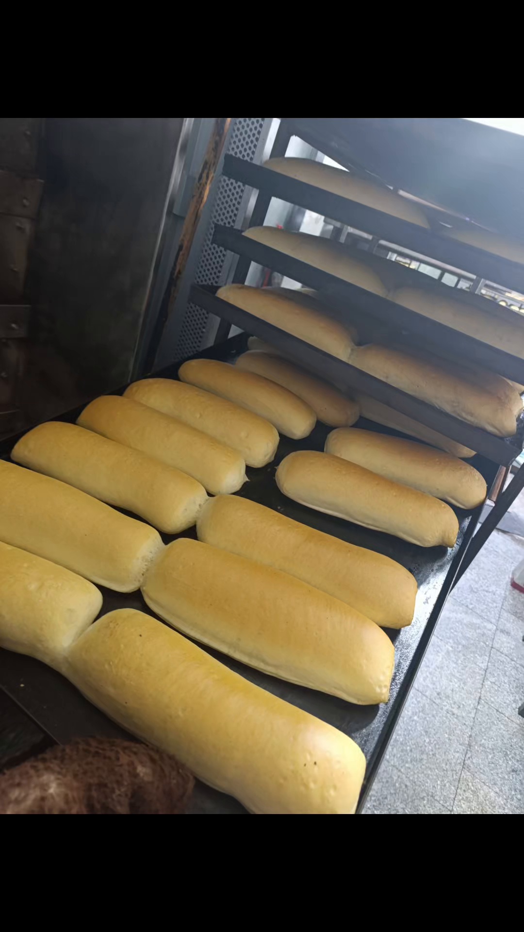 نان فانتزی حاتمی