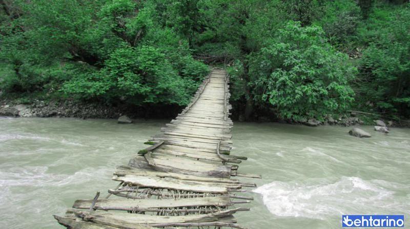 پارک جنگلی سفید آب