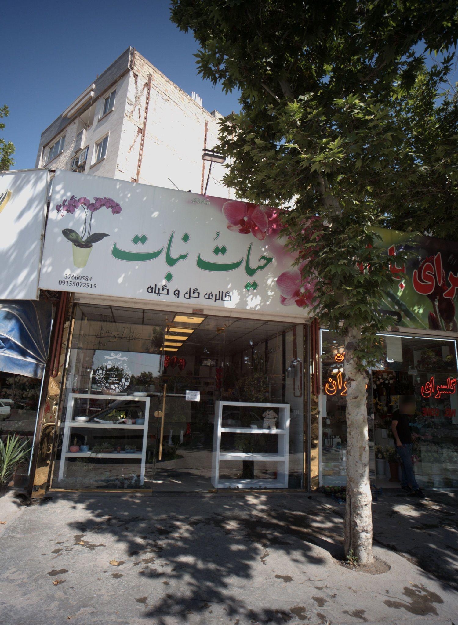 گالری گل و گیاه حیات نبات