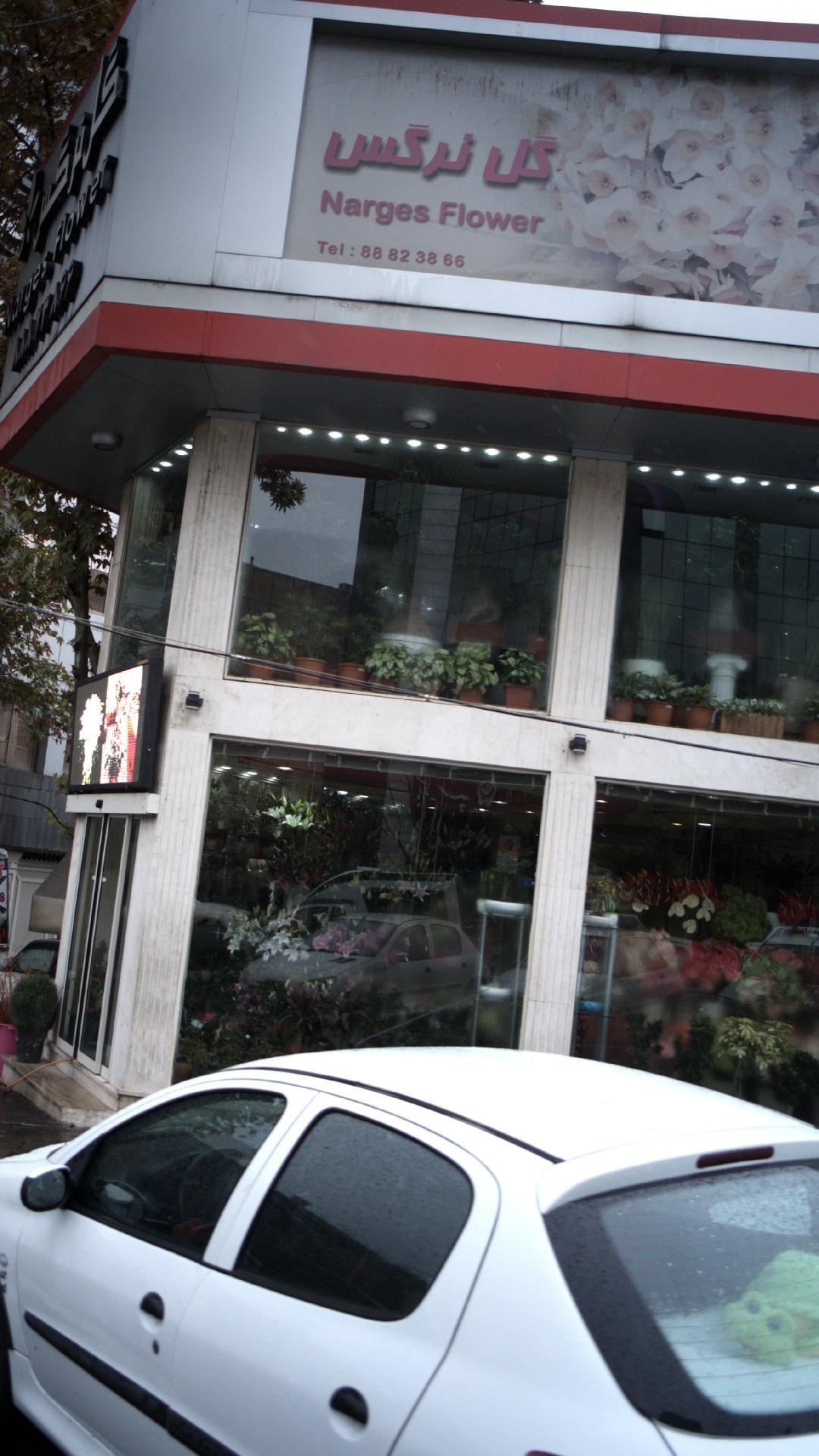 گلفروشی نرگس