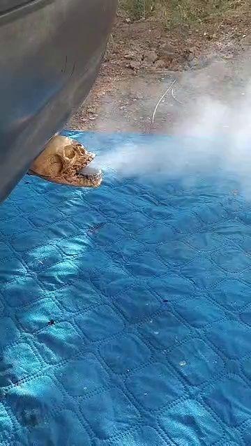 اسپرت رسولی