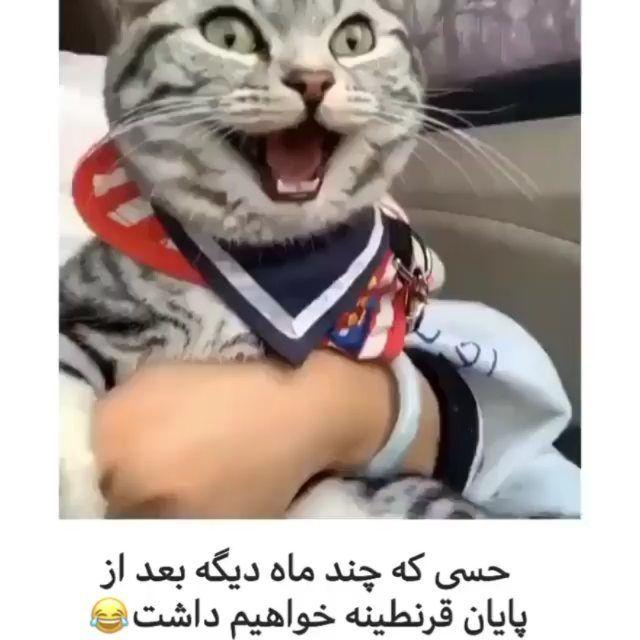 پرشین تیونینگ اصفهان