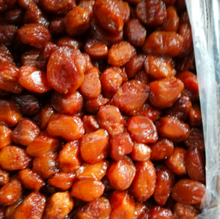 بازرگانی و کارخانه تخمه جابانی و الو بخارا