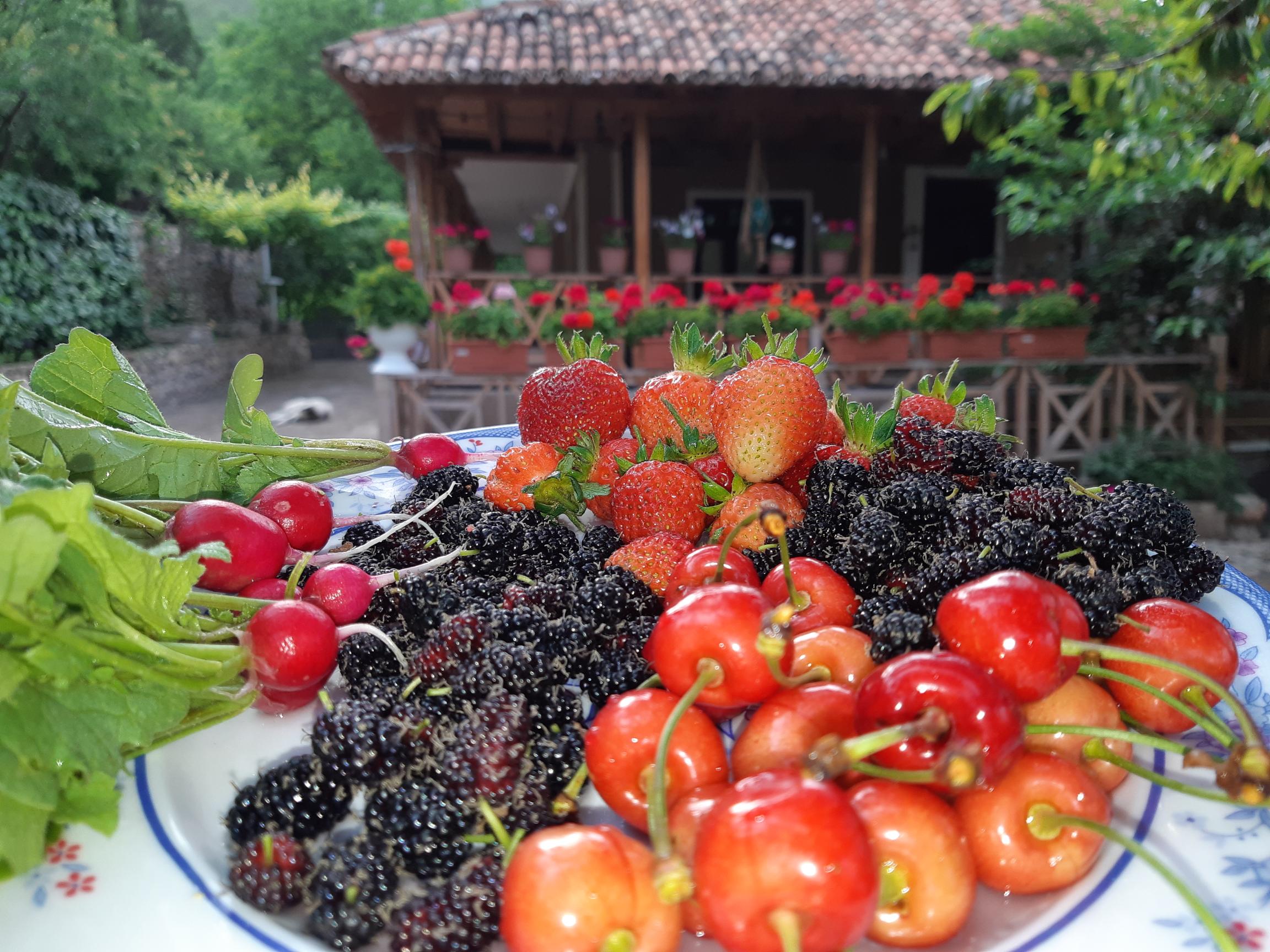 اقامتگاه بومگردی سرونوش