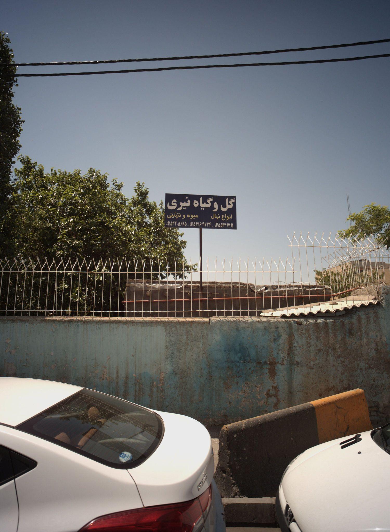 گل و گیاه نیری