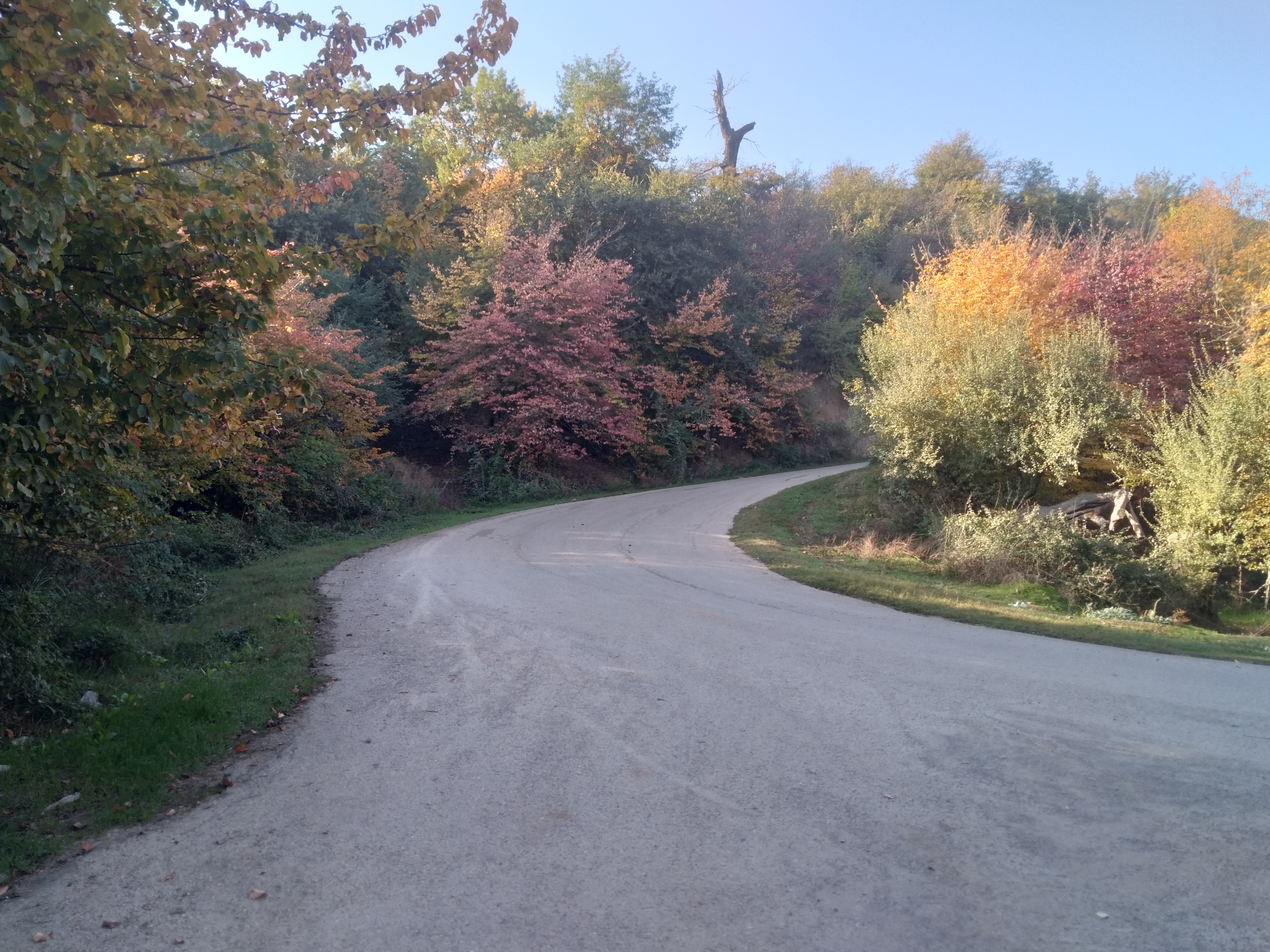 اقامتگاه بومگردی بابا عباس