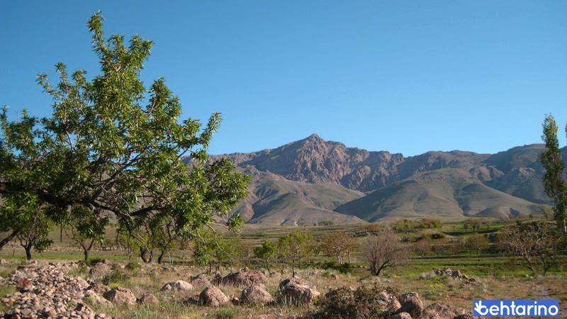 میشو داغ و مورو داغ