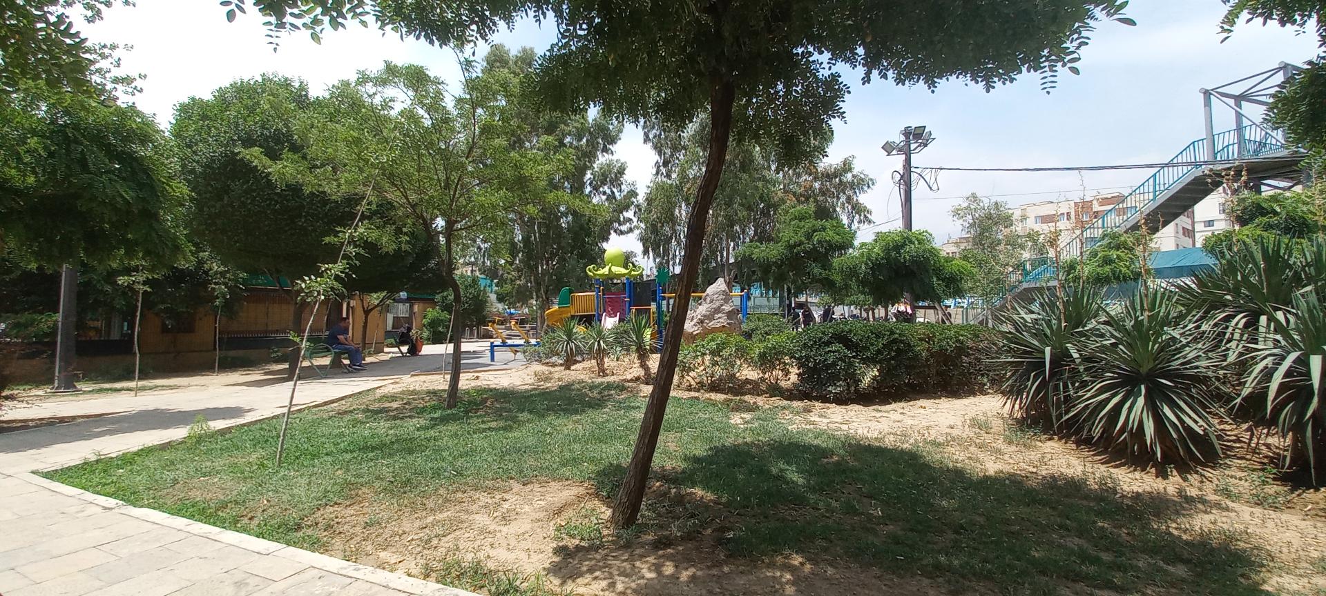 سرویس بهداشتی