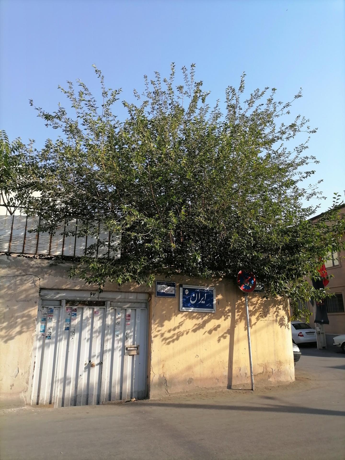 بنیاد علمی و فرهنگی بوعلی سینا