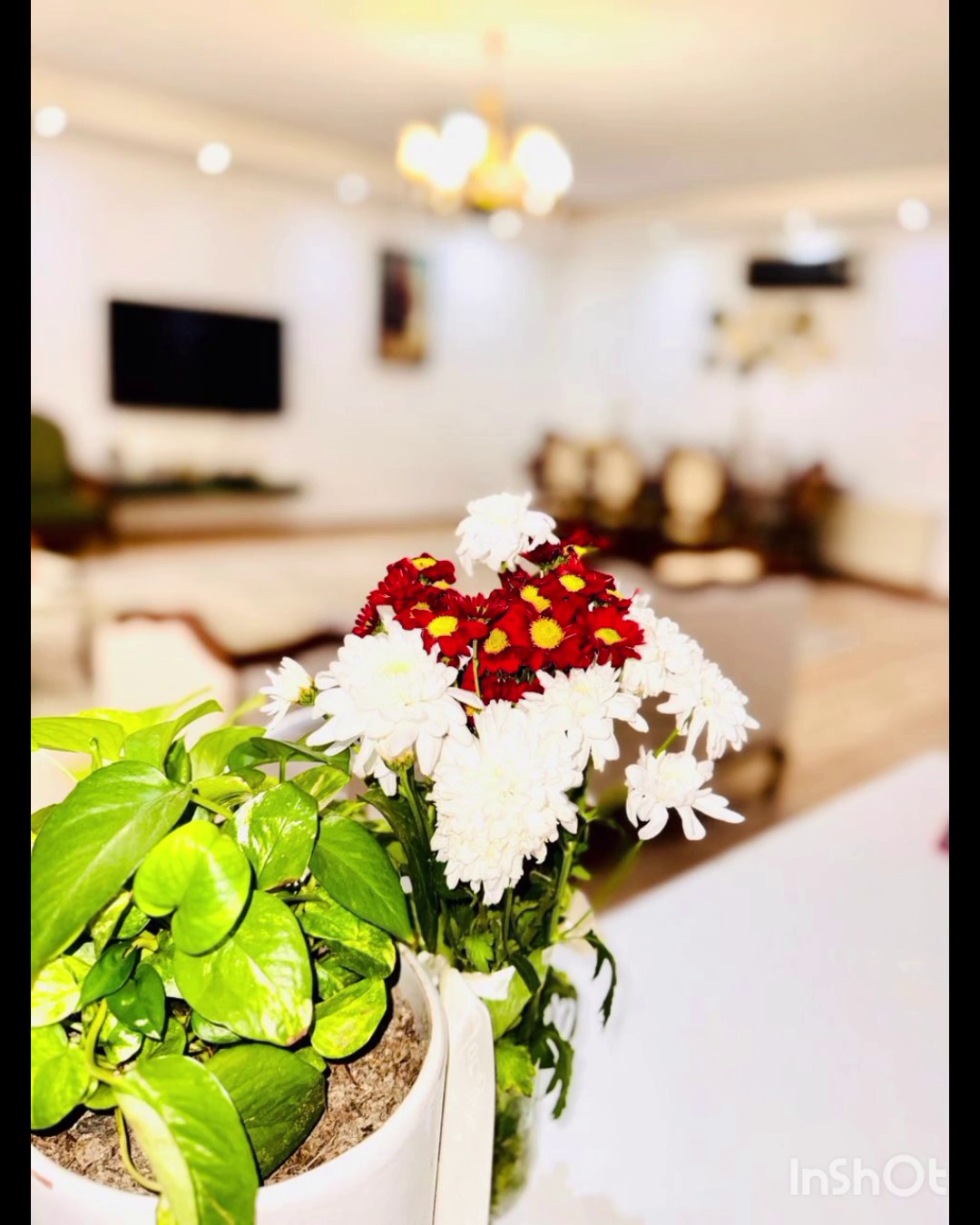 خدمات نظافت درنیکا ایرانیان